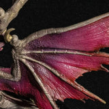 CAPCOM FIGURE BUILDER CUBE MONSTER HUNTER 爵銀龍 メル・ゼナ※不設寄送《24年3月預定》 4976219124959