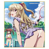 ストライク・ザ・ブラッドFINAL トレーディングミニ色紙 Vol.2(原盒10個入)※不設寄送《22年11月預定》 4589691205629