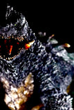幻の究極造形 CCP×大山竜 ガメラ3(1999) 彩色版《23年10月預定》 4580565636518