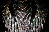 幻の究極造形 CCP×大山竜 ガメラ3(1999) 彩色版《23年10月預定》 4580565636518