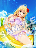【再販】虜ノ姉妹 水着コレクション 瓜生双葉 B2タペストリー(掛布)※不設寄送《23年5月預定》 4517451014617-1