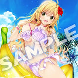 【再販】虜ノ姉妹 水着コレクション 瓜生双葉 B2タペストリー(掛布)※不設寄送《23年5月預定》 4517451014617-1