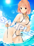 【再販】虜ノ姉妹 水着コレクション 塔夜水咲 B2タペストリー(掛布)※不設寄送《23年5月預定》 4517451014631-1