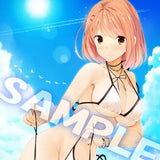 【再販】虜ノ姉妹 水着コレクション 塔夜水咲 B2タペストリー(掛布)※不設寄送《23年5月預定》 4517451014631-1
