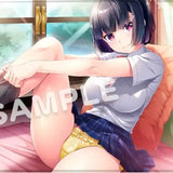 mdfあん先生描き下ろし ダキカノ 神月ゆめ A1タペストリー※不設寄送《22年9月預定》 4517451015119