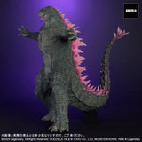 東宝大怪獣シリーズ GODZILLA (2024) EVOLVED Ver. FROM GODZILLA × KONG: THE NEW EMPIRE《25年5月預定》 4532149023658