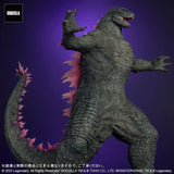 東宝大怪獣シリーズ GODZILLA (2024) EVOLVED Ver. FROM GODZILLA × KONG: THE NEW EMPIRE《25年5月預定》 4532149023658