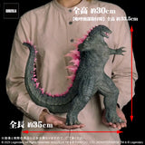 東宝大怪獣シリーズ GODZILLA (2024) EVOLVED Ver. FROM GODZILLA × KONG: THE NEW EMPIRE《25年5月預定》 4532149023658