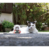 MEGA CAT PROJECT NARUTO-ナルト- ニャンとも大きなニャルト! 1 自来也※不設寄送《24年2月預定》 4535123837326