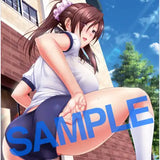 【18+】GOT タペストリーコレクション 649 こもりけい B2タペストリー(掛布)※不設寄送《24年2月預定》 4538806067249