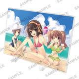 涼宮ハルヒシリーズ アクリルパネル ハルヒ&みくる&長門(亞加力立牌)※不設寄送《25年11月預定》 日版 全數$198 / ※不設寄送 / 25年8月22日*該產品有可能因供應商派貨不足而未能提供