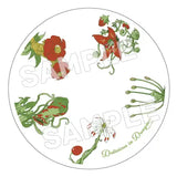 ダンジョン飯 デザインプレート※不設寄送《24年7月預定》 4562206518230