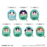 【再販】忍たま乱太郎 くるみたぴぬい Vol.3(毛公仔)(全套7個入)※不設寄送《25年6月預定》 4562378274668