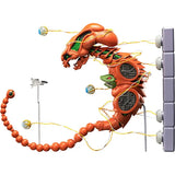 【再販】figma R-TYPE ドブケラドプス《26年7月預定》 行版 全數$928 / *免運費   店取pt:10 / 26年1月5日