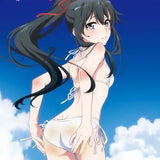 やはり俺の青春ラブコメはまちがっている。完 描き下ろし 海辺ビキニBIGタペストリー 雪乃(掛布)※不設寄送《22年10月預定》 4570077745617