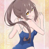 佐々木とピーちゃん 描き下ろし B2タペストリー お隣さん(水着)(掛布)※不設寄送《25年3月預定》 4570077768012
