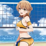 やはり俺の青春ラブコメはまちがっている。完 描き下ろし BIGタペストリー いろは(ビーチバレー)(掛布)※不設寄送《24年10月預定》 4570077768760