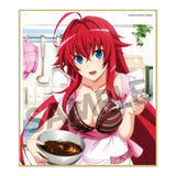 ハイスクールD×D HERO トレーディングミニ色紙 Vol.1(全套10個入)※不設寄送《24年2月預定》 4570157150676