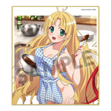 ハイスクールD×D HERO トレーディングミニ色紙 Vol.2(全套10個入)※不設寄送《24年2月預定》 4570157150690