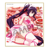 ハイスクールD×D HERO トレーディングミニ色紙 Vol.2(全套10個入)※不設寄送《24年2月預定》 4570157150690