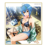 ハイスクールD×D HERO トレーディングミニ色紙 Vol.2(全套10個入)※不設寄送《24年2月預定》 4570157150690