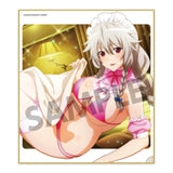 ハイスクールD×D HERO トレーディングミニ色紙 Vol.2(全套10個入)※不設寄送《24年2月預定》 4570157150690