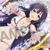 シノビマスター 閃乱カグラ NEW LINK B2タペストリー 両姫(乳籍祭)(掛布)※不設寄送《24年2月預定》 4570157155800