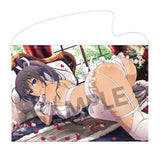 シノビマスター 閃乱カグラ NEW LINK B2タペストリー 焔(乳籍祭)(掛布)※不設寄送《24年3月預定》 4570157155848