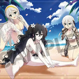 シノビマスター 閃乱カグラ NEW LINK B2タペストリー 雪不帰(81の日水着)(掛布)※不設寄送《24年3月預定》 4570157155909