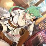 シノビマスター 閃乱カグラ NEW LINK ビジュアルアクリルプレート 日影(新乳祭)(亞加力立牌)※不設寄送《24年3月預定》 4570157156067