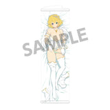 閃乱カグラ スリムタペストリー Vol.3 両奈B(掛布)※不設寄送《24年8月預定》 4570157157248