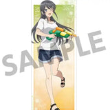 青春ブタ野郎シリーズ 描き下ろしスリムタペストリー 桜島麻衣の夏休み 水遊びVer.(掛布)※不設寄送《25年7月預定》 4570157179677