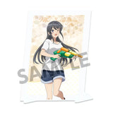 青春ブタ野郎シリーズ 描き下ろしビジュアルアクリルプレート 桜島麻衣の夏休み 水遊びVer.(亞加力立牌)※不設寄送《25年7月預定》 4570157179837