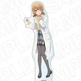 やはり俺の青春ラブコメはまちがっている。完 デカアクリルスタンド 一色いろは Chemistry Ver.(亞加力立牌)※不設寄送《25年3月預定》 4570179705328