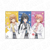 やはり俺の青春ラブコメはまちがっている。完 ミニアクリルアート Chemistry Ver.(亞加力立牌)※不設寄送《25年3月預定》 4570179705397