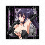 ハイスクールD×D HERO マイクロファイバー 姫島朱乃 ボンテージVer.(眼鏡布)※不設寄送《26年5月預定》 日版 全數$128 / ※不設寄送 / 26年3月13日