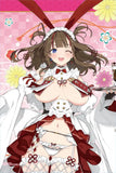 閃乱カグラ 描き下ろしB2タペストリー 和風バニーVer. 4 鴇(掛布)※不設寄送《24年3月預定》 4570188461420