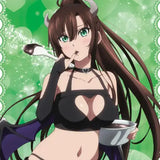 ストライク・ザ・ブラッドFINAL 描き下ろしB2タペストリー 小悪魔Ver. 3 煌坂紗矢華(掛布)※不設寄送《24年5月預定》 4570188467750