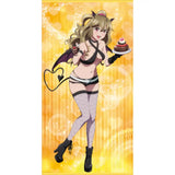ストライク・ザ・ブラッドFINAL 描き下ろし等身大タペストリー 小悪魔Ver. 2 藍羽浅葱(掛布)※不設寄送《24年5月預定》 4570188467774