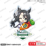 ウマ娘 プリティーダービー トレーディングつながるぷちアクリルスタンド Vol.4(亞加力立牌)(全套20個入)※不設寄送《25年2月預定》 4570194380876
