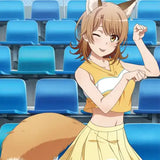 やはり俺の青春ラブコメはまちがっている。完 描き下ろし BIGタペストリー いろは(アニマルチア)(掛布)※不設寄送《25年3月預定》 4571576722758