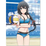 やはり俺の青春ラブコメはまちがっている。完 描き下ろし B2タペストリー 雪乃(ビーチバレー)(掛布)※不設寄送《25年3月預定》 4571576722949