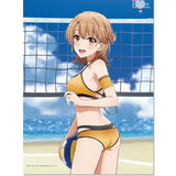 やはり俺の青春ラブコメはまちがっている。完 描き下ろし B2タペストリー いろは(ビーチバレー)(掛布)※不設寄送《25年3月預定》 4571576722963