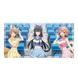 やはり俺の青春ラブコメはまちがっている。完 描き下ろし バスタオル アニマルチア(浴巾)※不設寄送《25年6月預定》 4571576724295