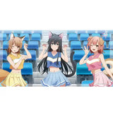 やはり俺の青春ラブコメはまちがっている。完 描き下ろし バスタオル アニマルチア(浴巾)※不設寄送《25年6月預定》 4571576724295