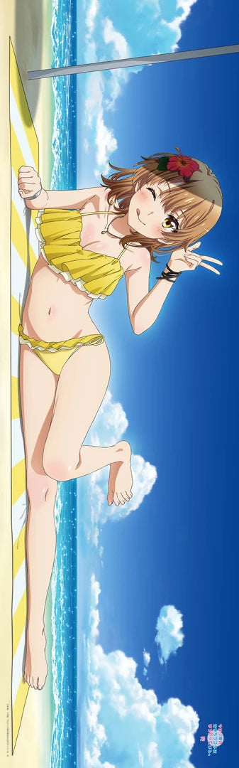 再販】やはり俺の青春ラブコメはまちがっている。完 描き下ろし