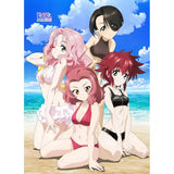 ガールズ&パンツァー 最終章 B2タペストリー ローズヒップ&クランベリー&バニラ&ピーチ/水着(掛布)※不設寄送《25年8月預定》 4571608501184