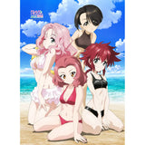 ガールズ&パンツァー 最終章 B2タペストリー ローズヒップ&クランベリー&バニラ&ピーチ/水着(掛布)※不設寄送《25年8月預定》 4571608501184