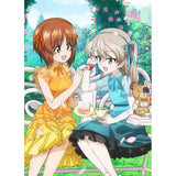ガールズ&パンツァー 最終章 描き下ろしB2タペストリー 西住みほ&島田愛里寿/お茶会(掛布)※不設寄送《25年8月預定》 4571608501504