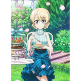 ガールズ&パンツァー 最終章 描き下ろしB2タペストリー ダージリン/お茶会(掛布)※不設寄送《25年8月預定》 4571608501511